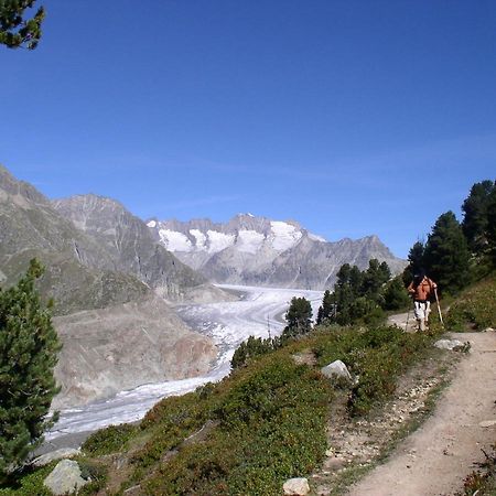 Mischabelblick Fiesch Exterior foto