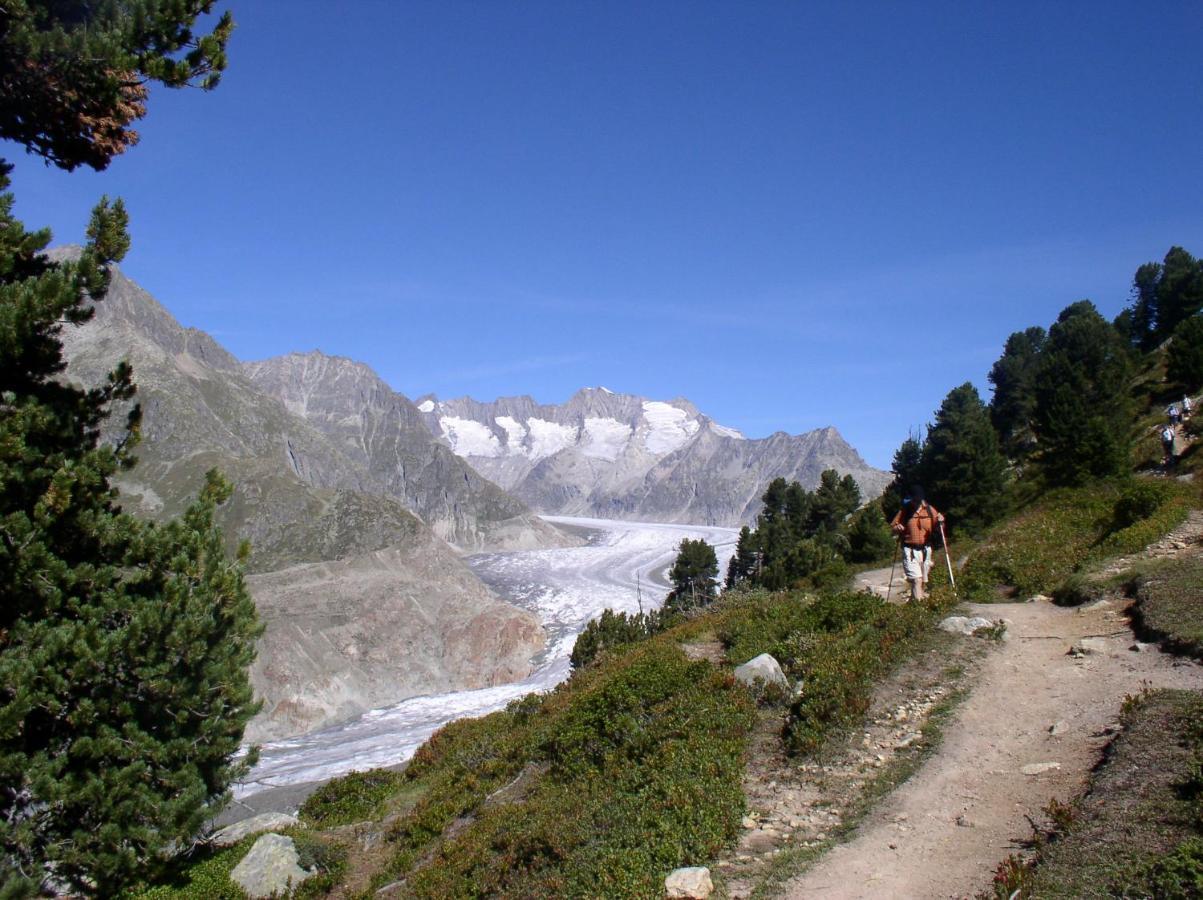 Mischabelblick Fiesch Exterior foto